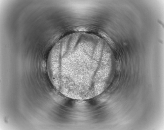 X0000093260669200710241334