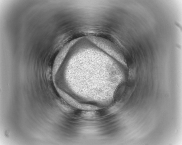 X0000093260671200710241334