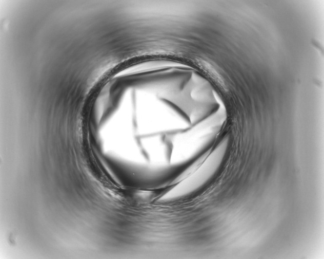 X0000093260676200710241334