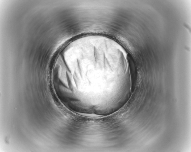X0000093260680200710241334