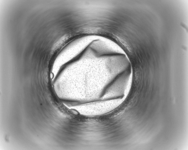 X0000093260682200710241334
