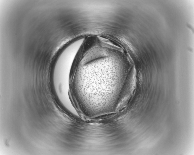 X0000093260684200710241334