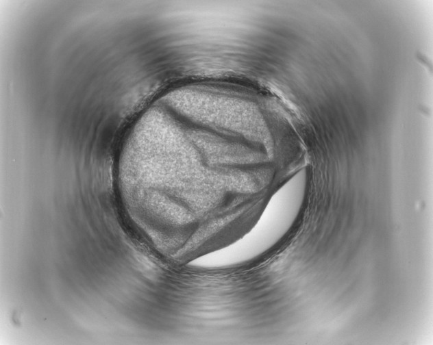 X0000093260685200710241333