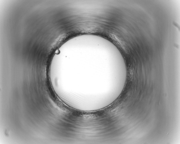 X0000093260686200710241333