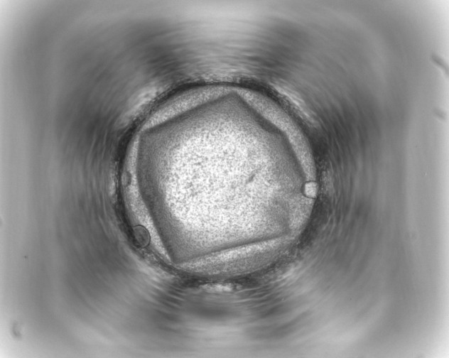 X0000093260687200710241333