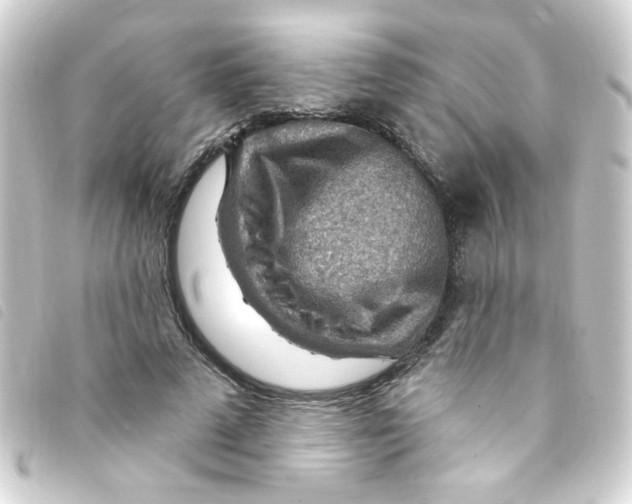 X0000093260689200710241333