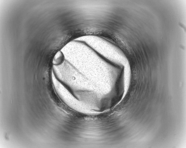 X0000093260690200710241333