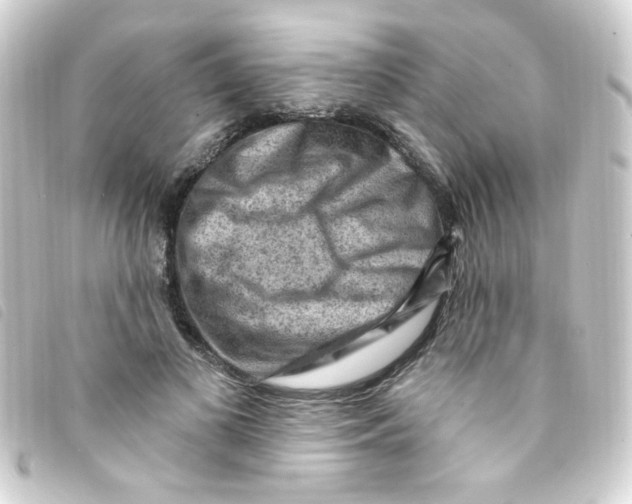 X0000093260693200710241333