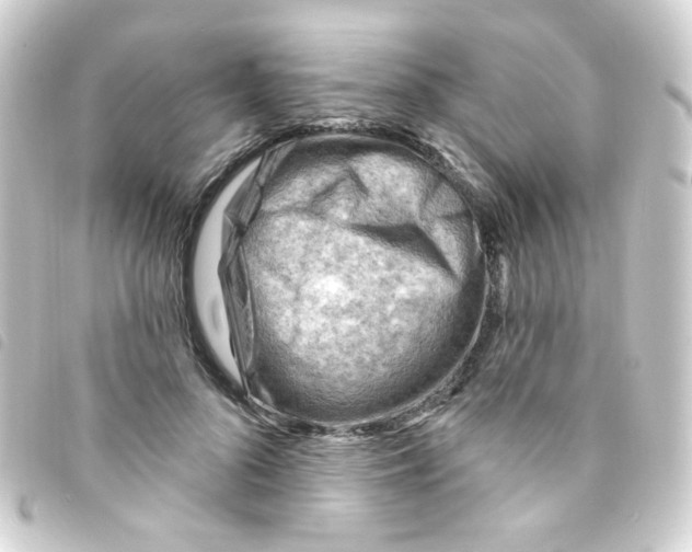 X0000093260696200710241333