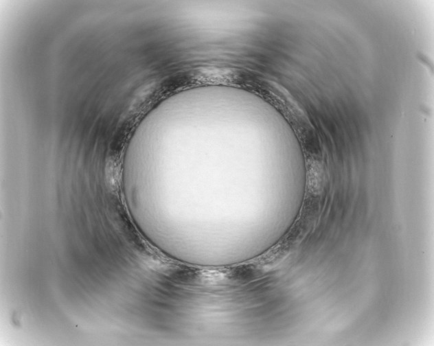 X0000093260701200710241333