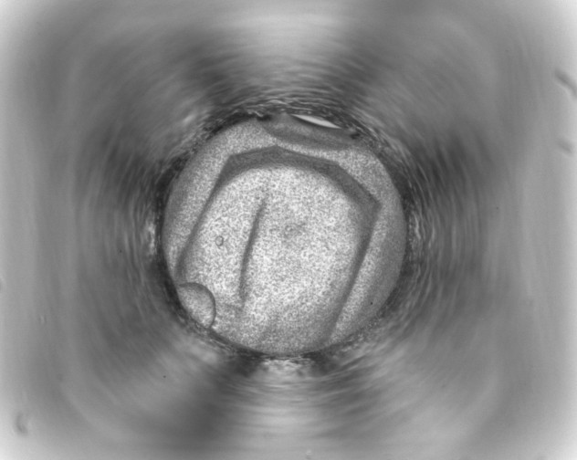 X0000093260703200710241333