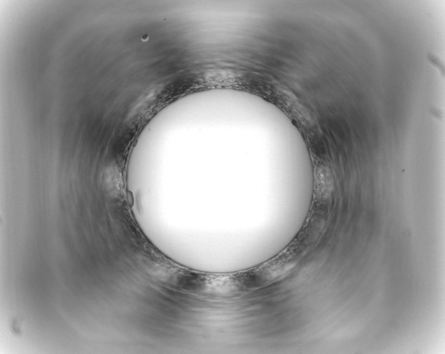 X0000093260705200710241333