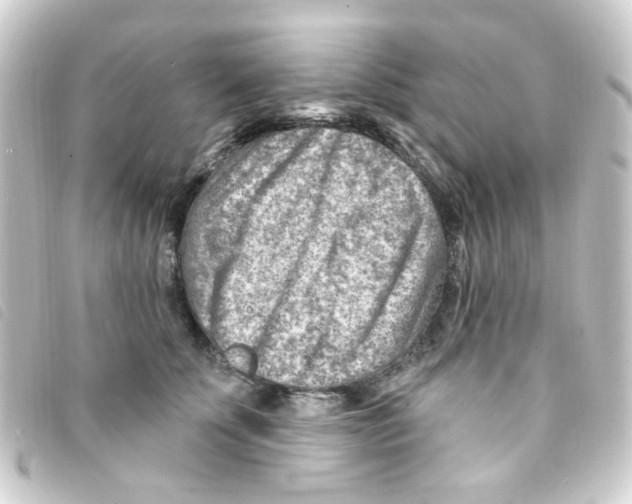X0000093260707200710241333