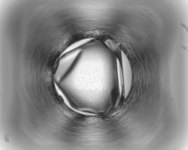 X0000093260708200710241333