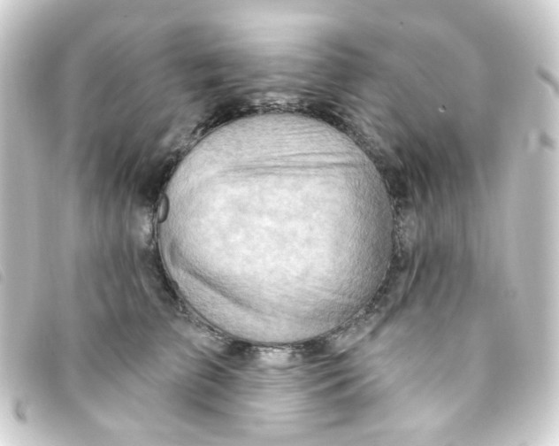X0000093260709200710241333
