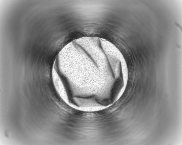 X0000093260710200710241333