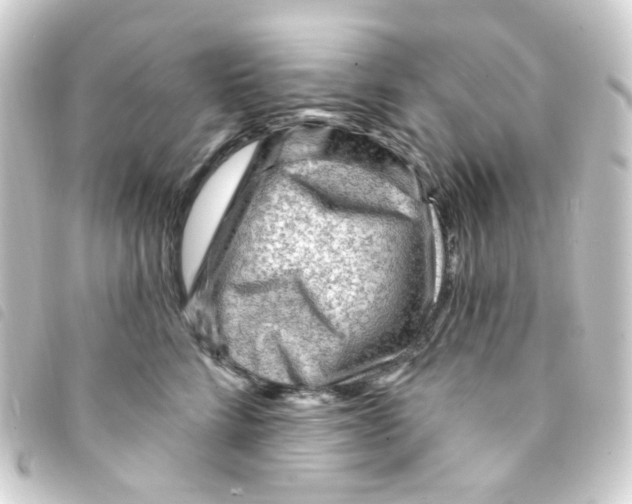X0000093260712200710241333