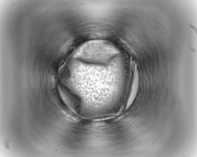 X0000093260716200710241333