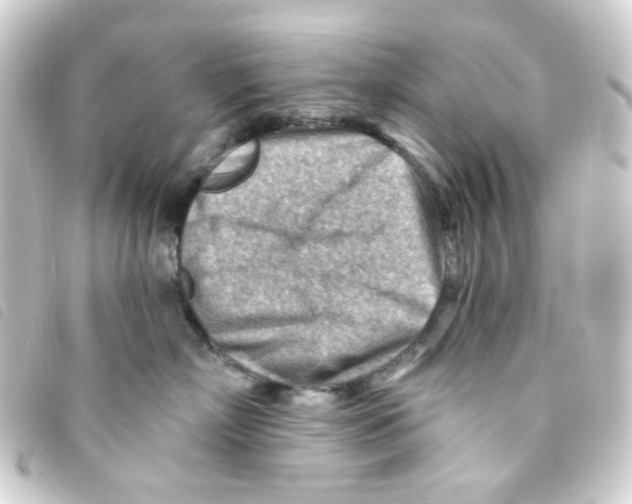 X0000093260718200710241333