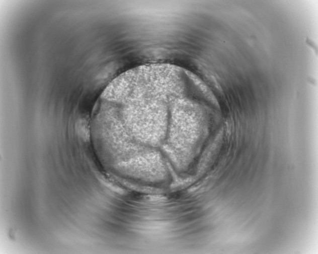 X0000093260719200710241333