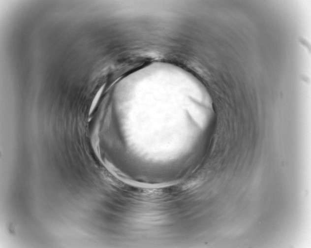 X0000093260720200710241333