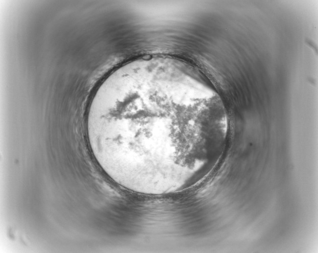 X0000093260721200710241333