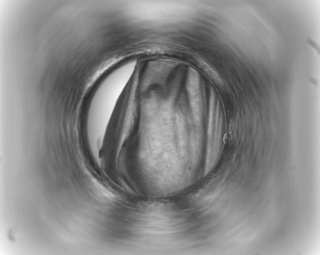 X0000093260722200710241333