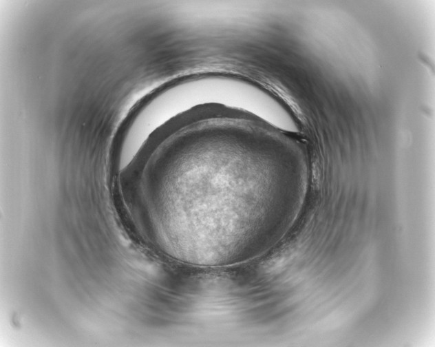 X0000093260724200710241333