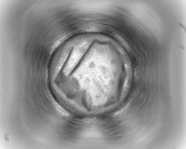 X0000093260725200710241333