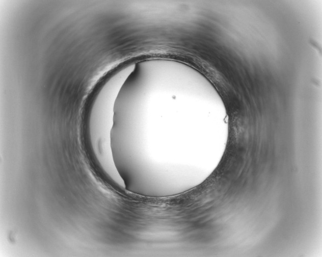 X0000093260728200710241333