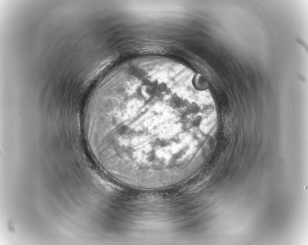 X0000093260729200710241333