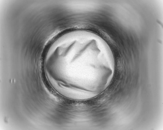 X0000093260730200710241333