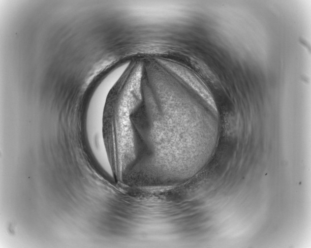 X0000093260731200710241333