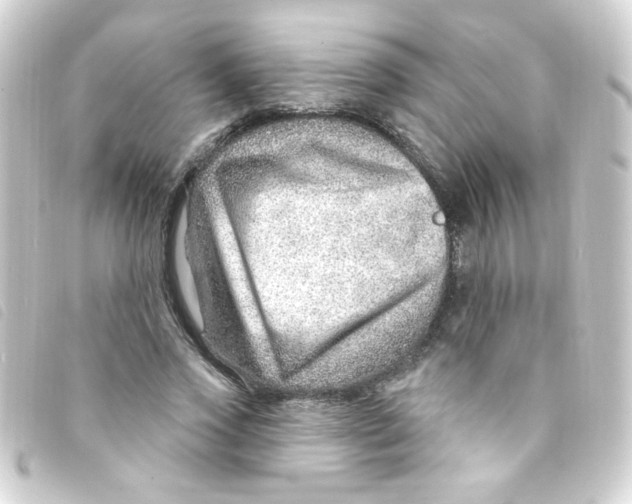 X0000093260733200710241333