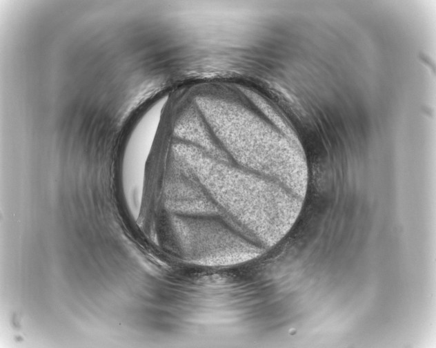 X0000093260735200710241333