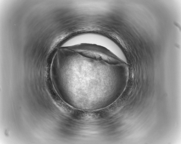 X0000093260736200710241333