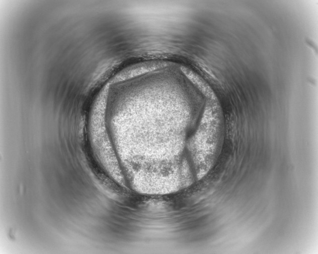 X0000093260742200710241333