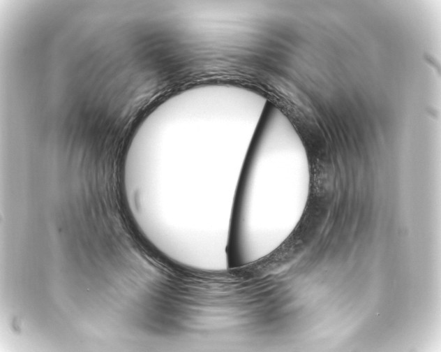 X0000093260748200710241333