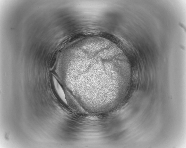 X0000093260749200710241333