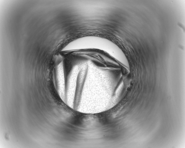 X0000093260750200710241333