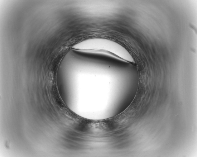 X0000093260752200710241333