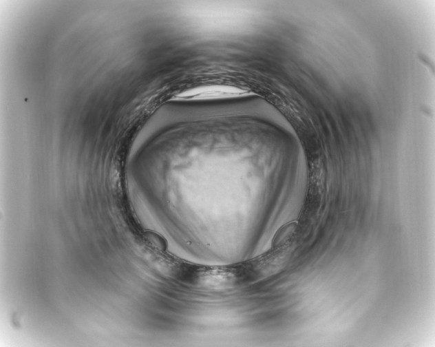 X0000093260754200710241333