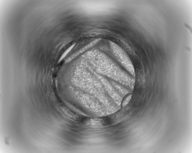 X0000093260758200710241333