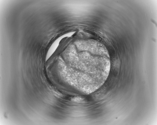 X0000093260759200710241333