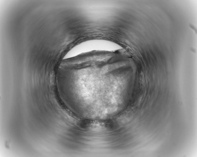 X0000093260760200710241333