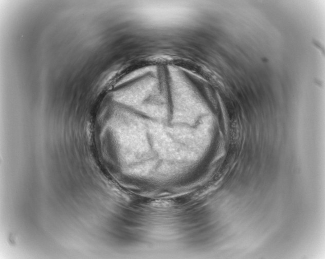 X0000093260762200710241333