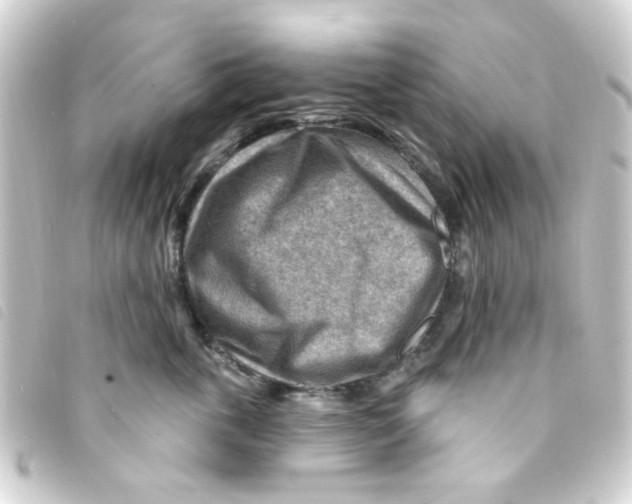 X0000093260763200710241333