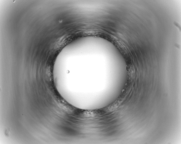 X0000093260764200710241333