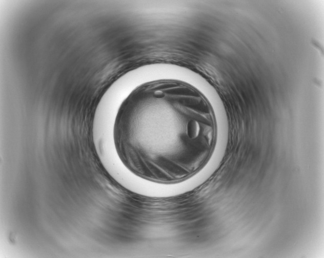 X0000093260766200710241333