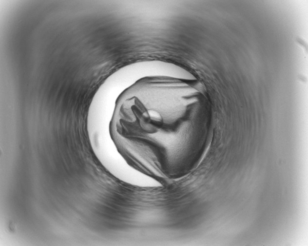 X0000093260768200710241333